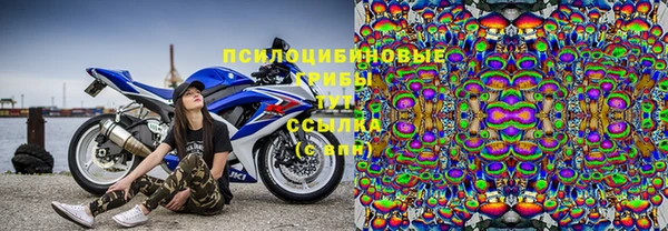 сатива Кулебаки