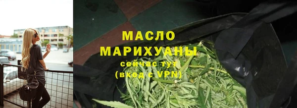 сатива Кулебаки