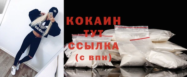 гашик Кукмор