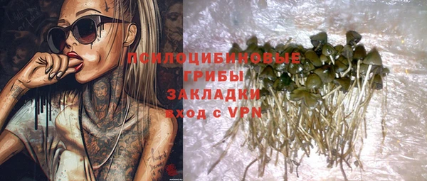 гашик Кукмор