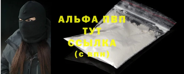 сатива Кулебаки