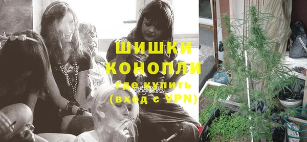 сатива Кулебаки