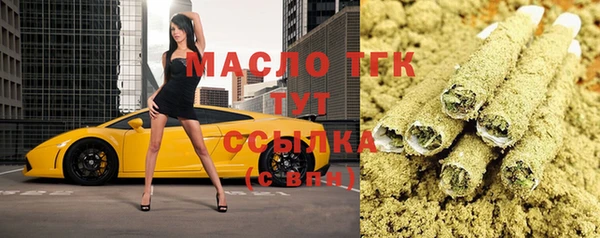 сатива Кулебаки