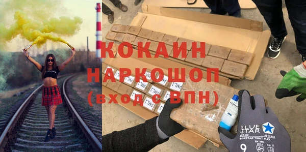 сатива Кулебаки