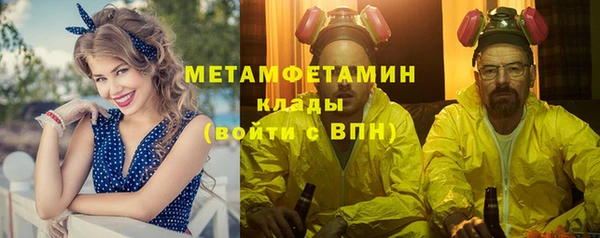 сатива Кулебаки