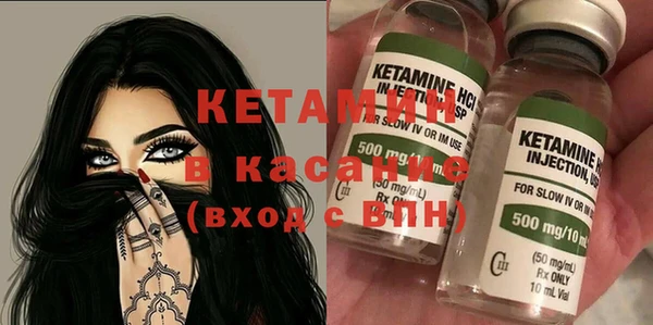 сатива Кулебаки