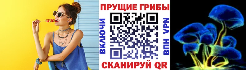 Галлюциногенные грибы Psilocybe  Фатеж 